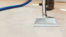 Carpet cleaning wand head gliding over a light carpet during hot-water extraction, Seattle, WA.