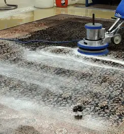 Professional rug cleaning with a rotary floor machine and shampoo foam, deep-cleaning an area rug Seattle, WA.